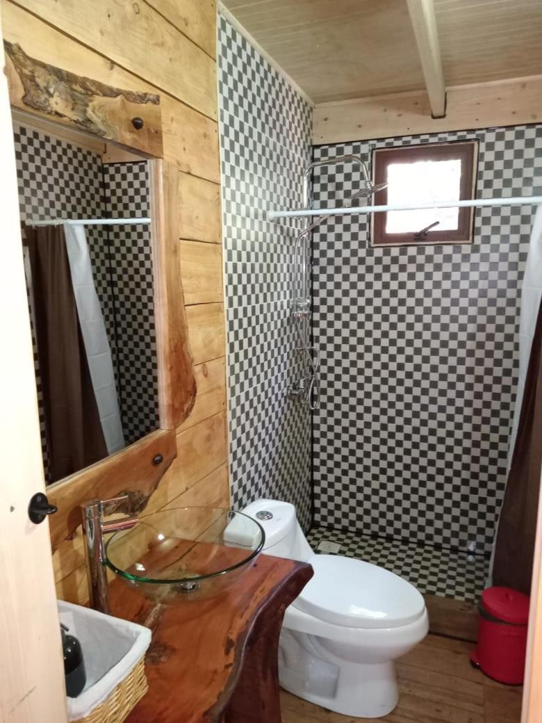 Campo Lindo Apartamento